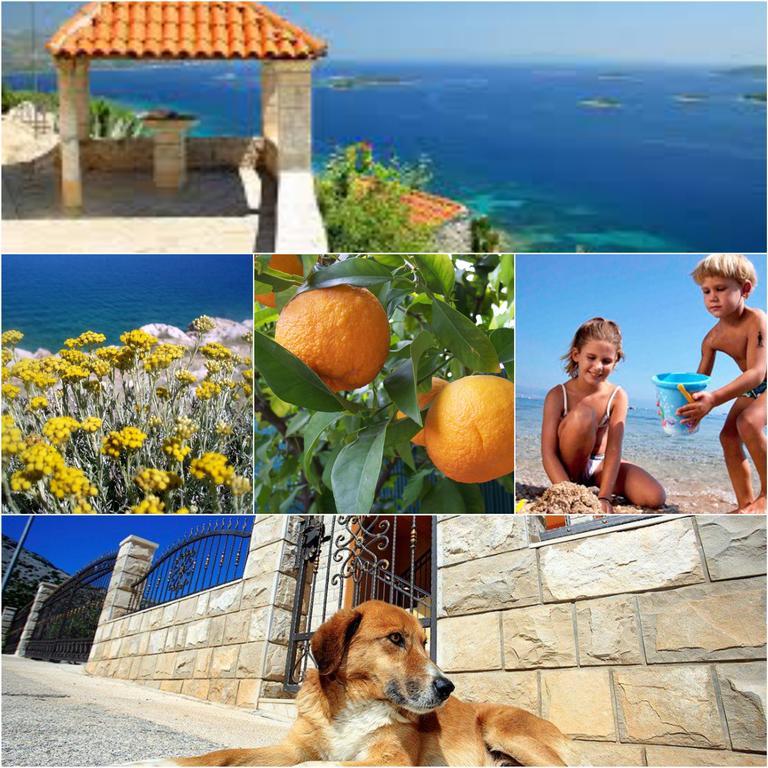 Holiday Home Mirela Orebic Exterior photo